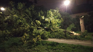 Spadlý strom komplikoval cyklistům cestu přes Smetanovy sady
