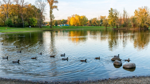 Dno přerovské Laguny je čistší, pomohly bakterie