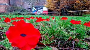 Den válečných veteránů v Olomouci: Piety se zúčastnil i hejtman