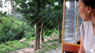 ZOO Olomouc v pondělí přivítá návštěvníky