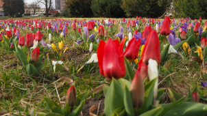 Výhled počasí na příští dny: Víkend bude teplý, pak se ochladí