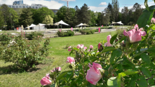 Rozárium také letos přivítá Vyznání růžím