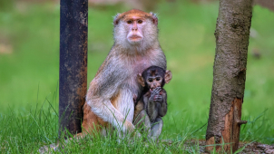 Olomoucká zoo vyhlásila soutěž o nejhezčí fotku. Zúčastníte se?
