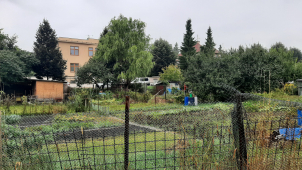 Chystá se prodej pozemků ul. Na Trati. Zahrádkáři chystají petici