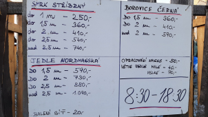 Zloděj ukradl stovku vánočních stromečků z Dolního náměstí
