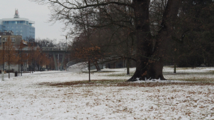 Předpověď v kraji: Očekává se sníh i déšť a teploty nad nulou