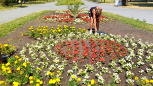 Rudolfovu alej už zdobí nové ornamentální záhony