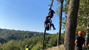 Paraglidisté, uvěznění v korunách stromů, zaměstnali záchranáře