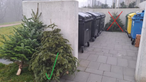 Máte doma ještě stromeček? Svoz pokračuje i v únoru