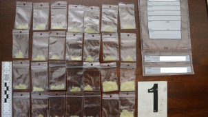 Trojlístek z Jesenicka čelí obvinění z distribuce pervitinu