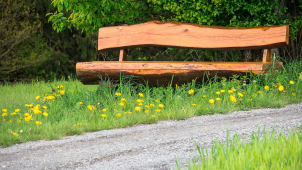 Zloděj ukradl dřevěnou lavičku z lesního odpočívadla u Kokor