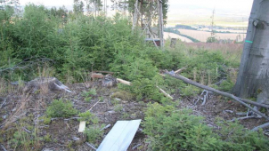 Výbuch posedu v Nové Hradečné: Byla to msta?