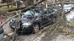 Sabine řádila také v Olomouci
