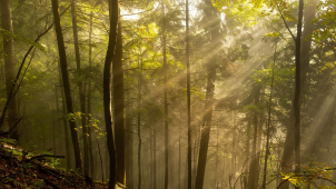 Teplota v kraji se v sobotu bude držet nad nulou