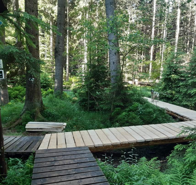 V Rejvízu se projdete po opravených chodnících