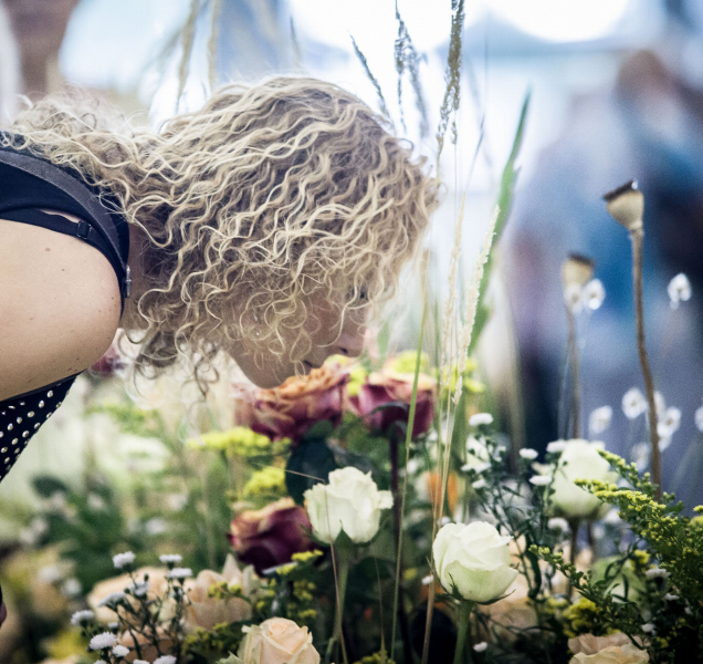 Letní Flora nabídne Zahradu za zdí