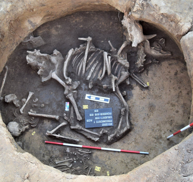 Archeologové pod budoucí dálnicí našli ostatky lidí i zvířat