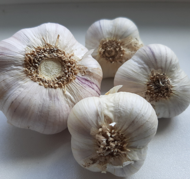 Velká česneková loupež: Lupič v Uničově okradl zemědělce