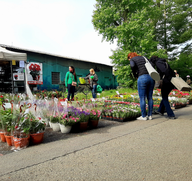 Letní Flora: Do Áčka jen 500 lidí najednou a s rouškami