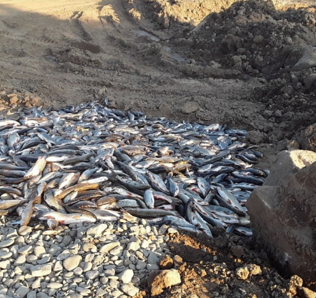 Kyanid do Bečvy unikl už v Juřince. DEZA zvažuje trestní oznámení