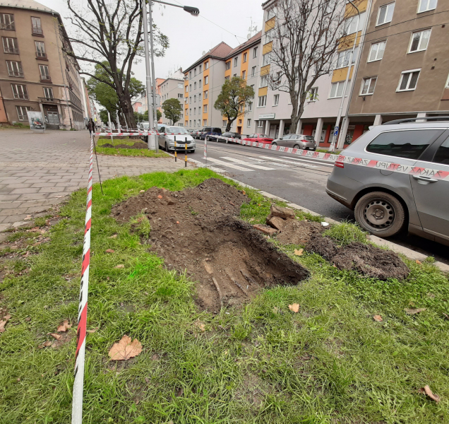 Výsadbu stromů na Masarykově třídě komplikují nezakreslené sítě