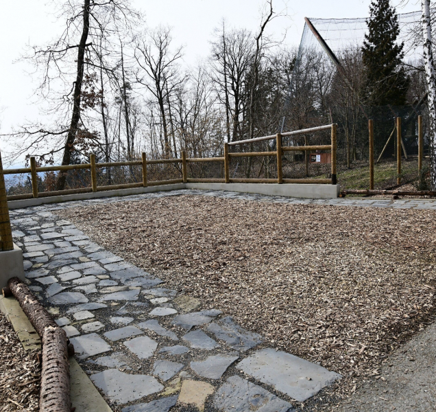 Rysi z olomoucké zoo se dočkali opraveného výběhu