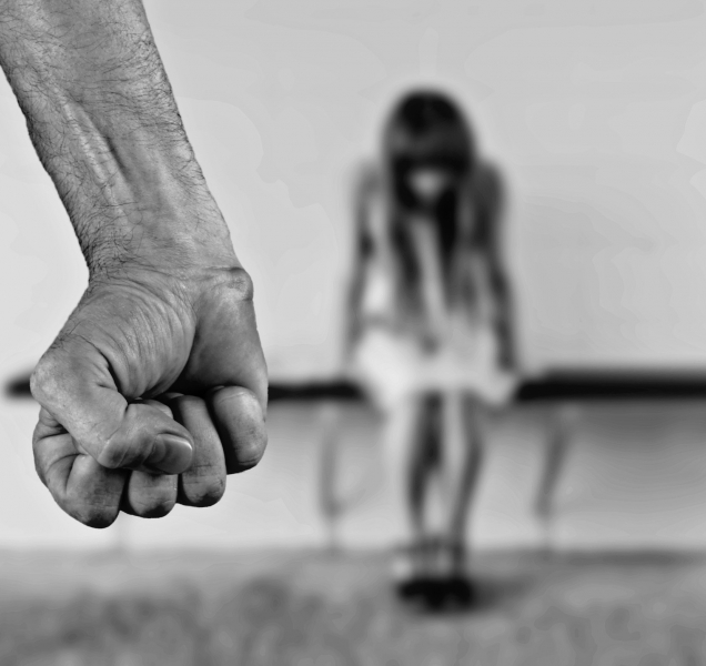 Policie obvinila devatenáctiletého mladíka ze znásilnění