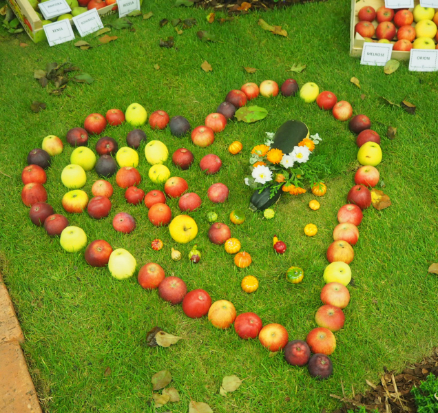 Podzimní Floru navštívilo dvacet tisíc návštěvníků