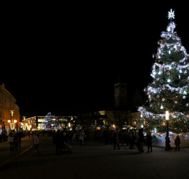Občané Prostějova vybírají jméno vánočního stromečku
