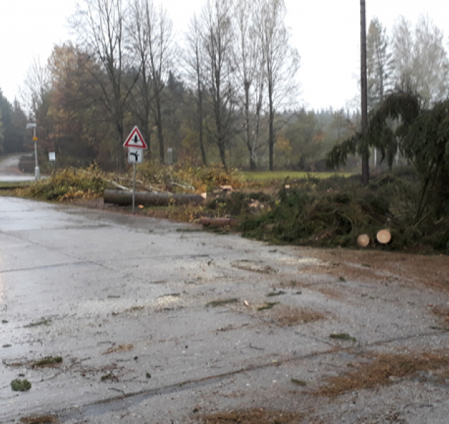 Víkendová vichřice za sebou zanechala zkázu, vítr překročil i 125 km/h