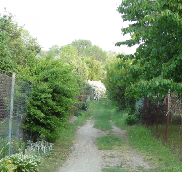 Zahrádkáři kontra radnice: Kontroverzní IV. etapa protipovodňových opatření už má alternativní studii