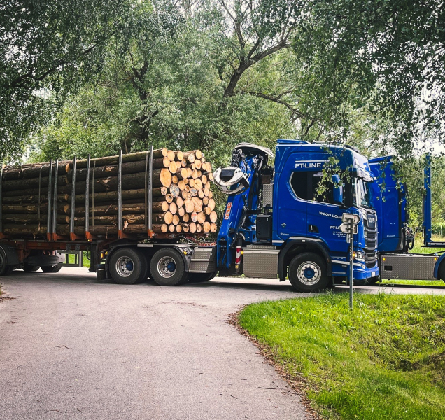 Státní lesy dodají dřevo zaplaveným domácnostem