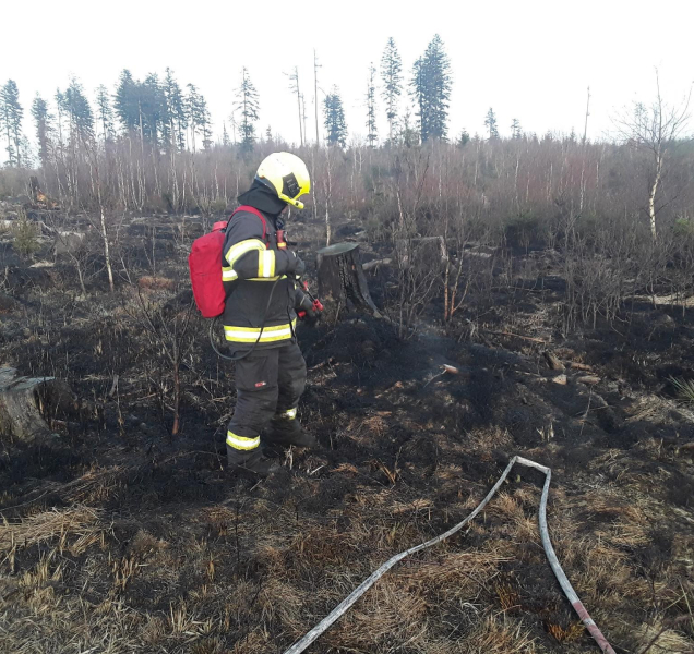 Ničivý oheň v lese likvidují hasiči i s pomocí dronu