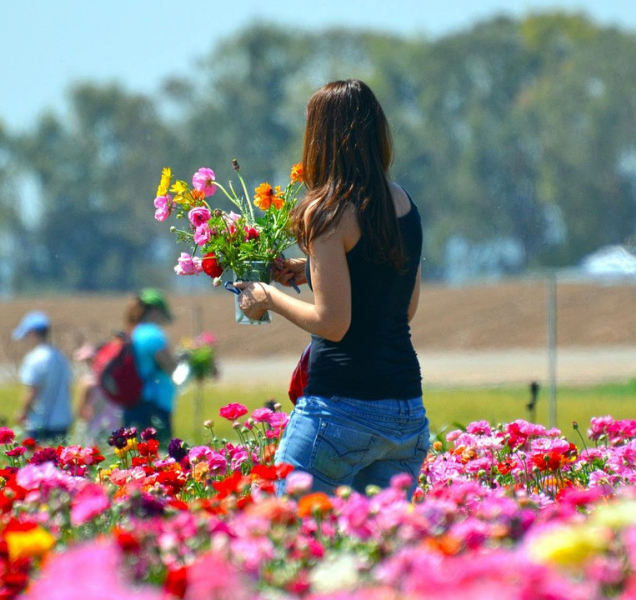 Sobota bude krásně slunečná