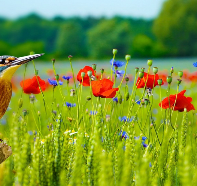 Sobota bude teplá, déšť přijde možná až večer