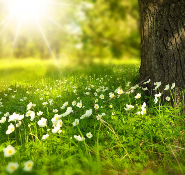 Počasí v sobotu zahřeje