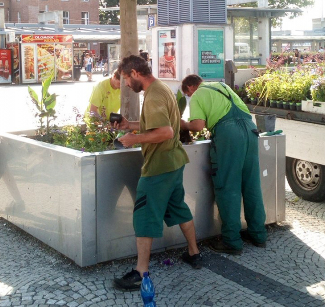 Flora vysázela před nádražím letničky, vydrží do září