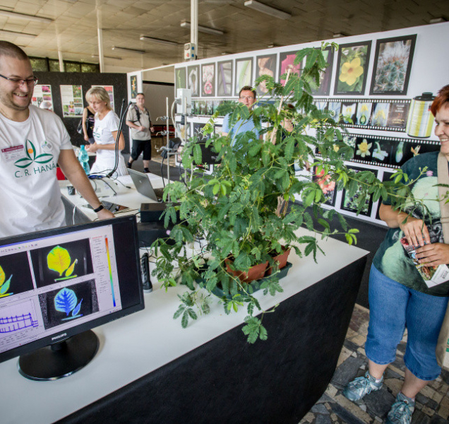 Krásy české krajiny připomene letní Flora Olomouc