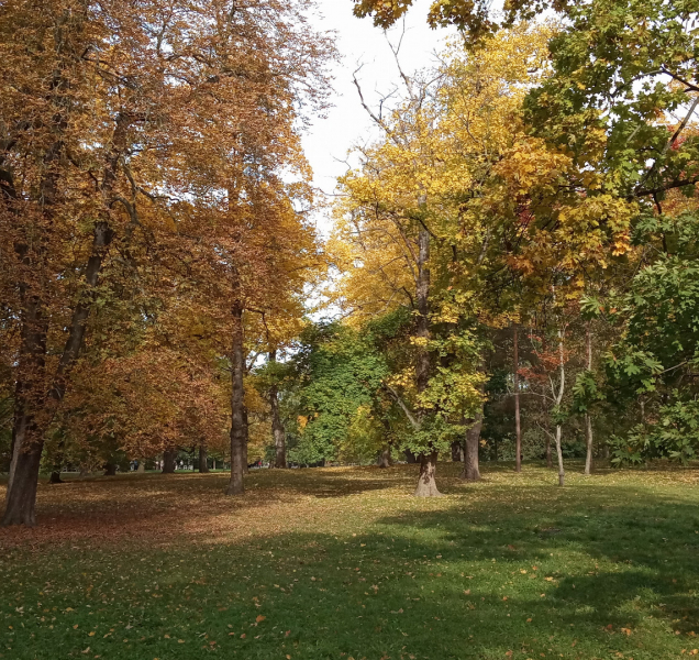 Sobotní počasí v kraji nabídne i devatenáctky
