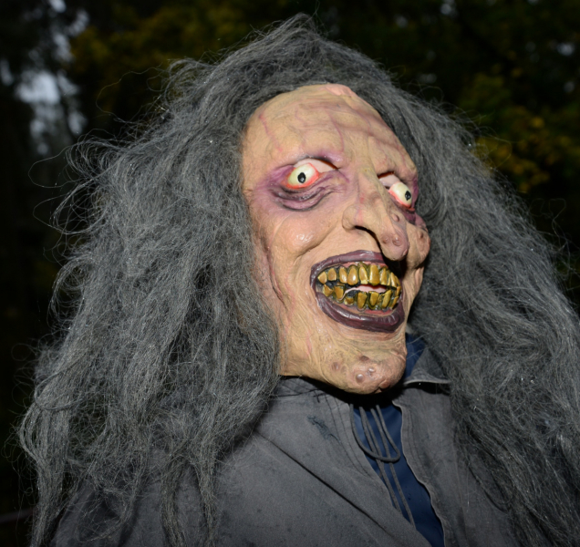 Večer duchů v Zoo Olomouc? I duchové budou v rozpacích!