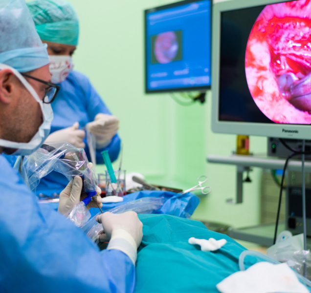 Ve fakultce bude mezinárodní kurz miniinvazivní ušní chirurgie