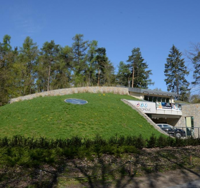 Olomoucká zoo chce vrátit stromy do svého areálu