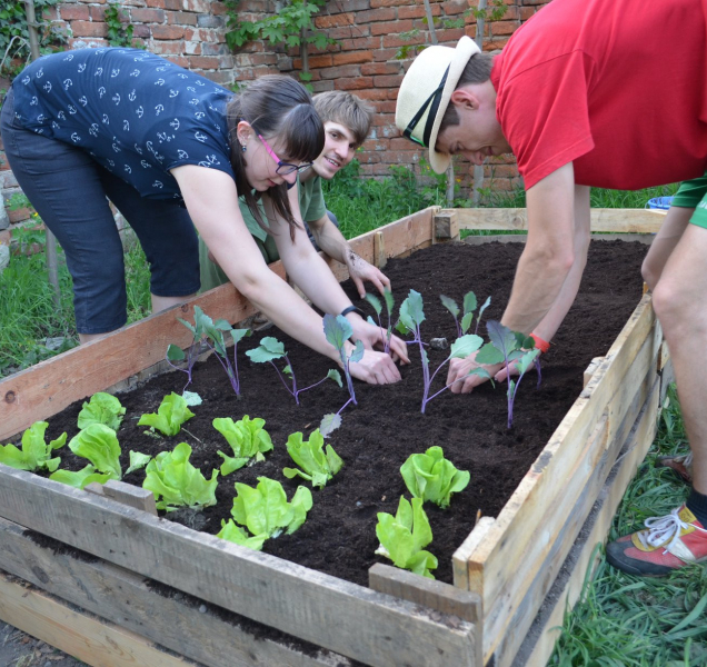 V Prostějově mají novou komunitní zahradu