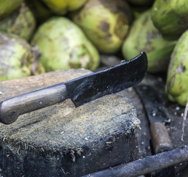 Nájemník napadl majitele sekáčkem na maso