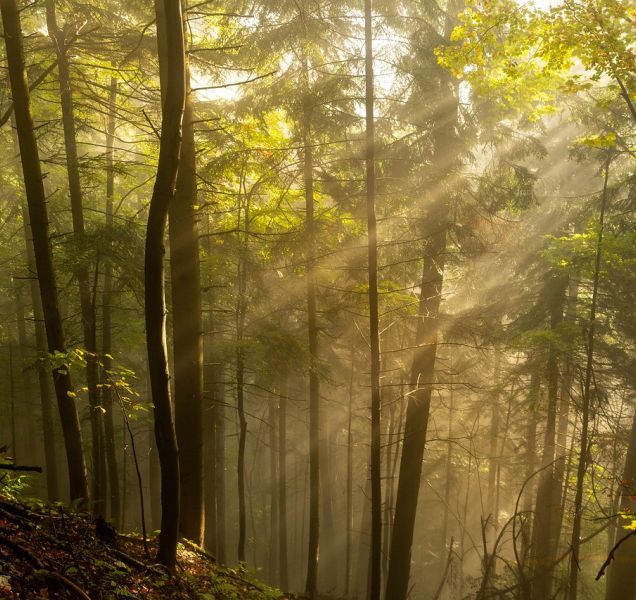 Neděle nabídne teploty blížící se deseti stupňům nad nulou