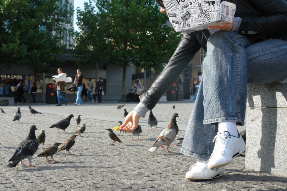 Nové olomoucké vyhlášky: čistota ve městě