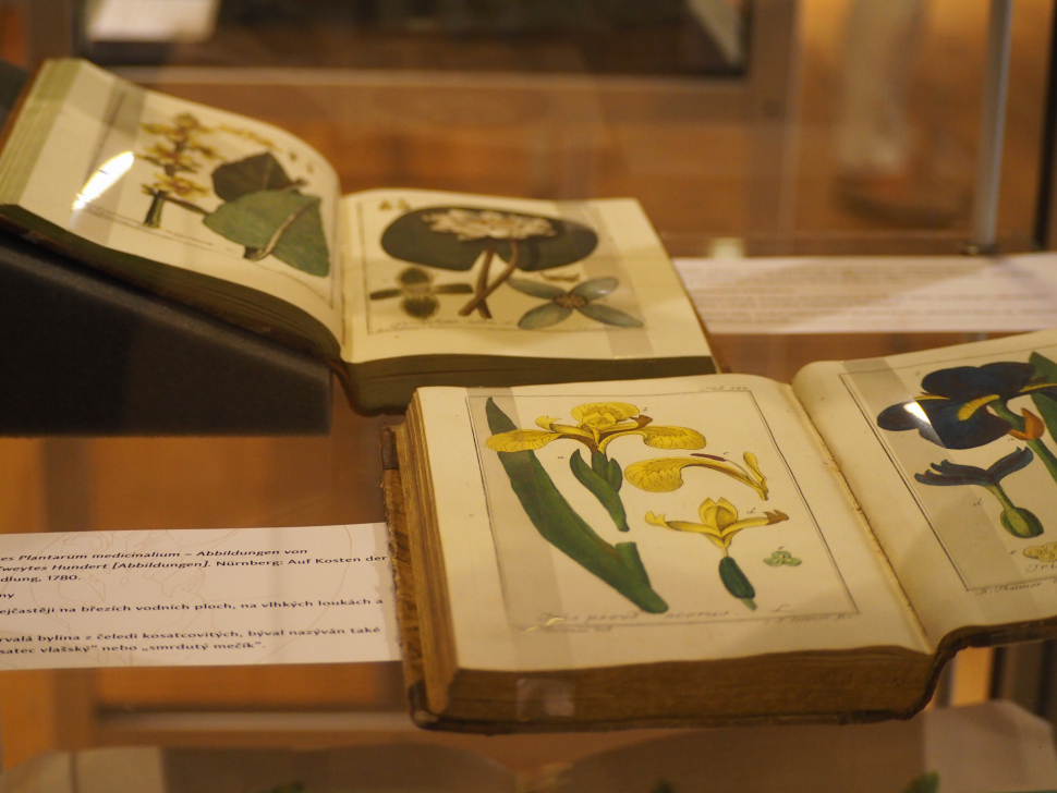 Pevnost poznání vystaví vzácné herbáře z Vědecké knihovny Olomouc