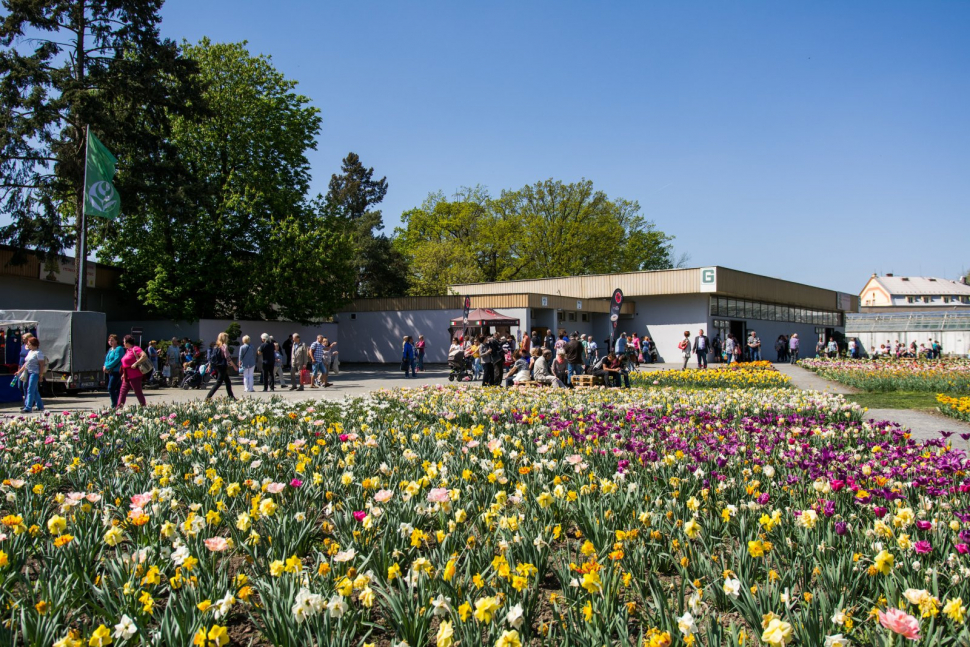 Flora Olomouc je zpět, hlavní expozice znázorní koloběh života