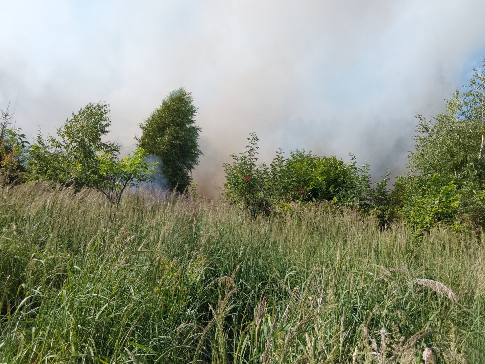 Další lesní požár. Tentokrát u Bludova