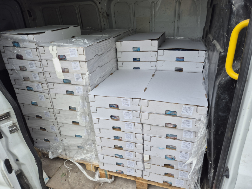 Celníci odhalili téměř čtyři tuny nelegálního masa z Polska